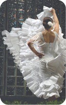 flamenco picture